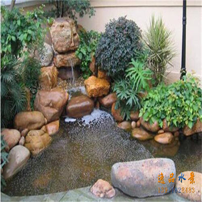 فيلا حديقة بركة السمك حديقة وعرة